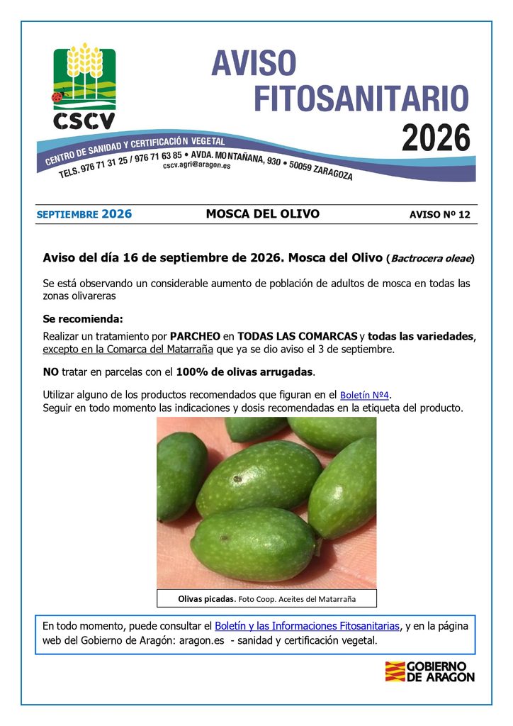 Aviso tratamiento mosca del olivo 