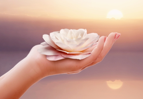 hand fragrance