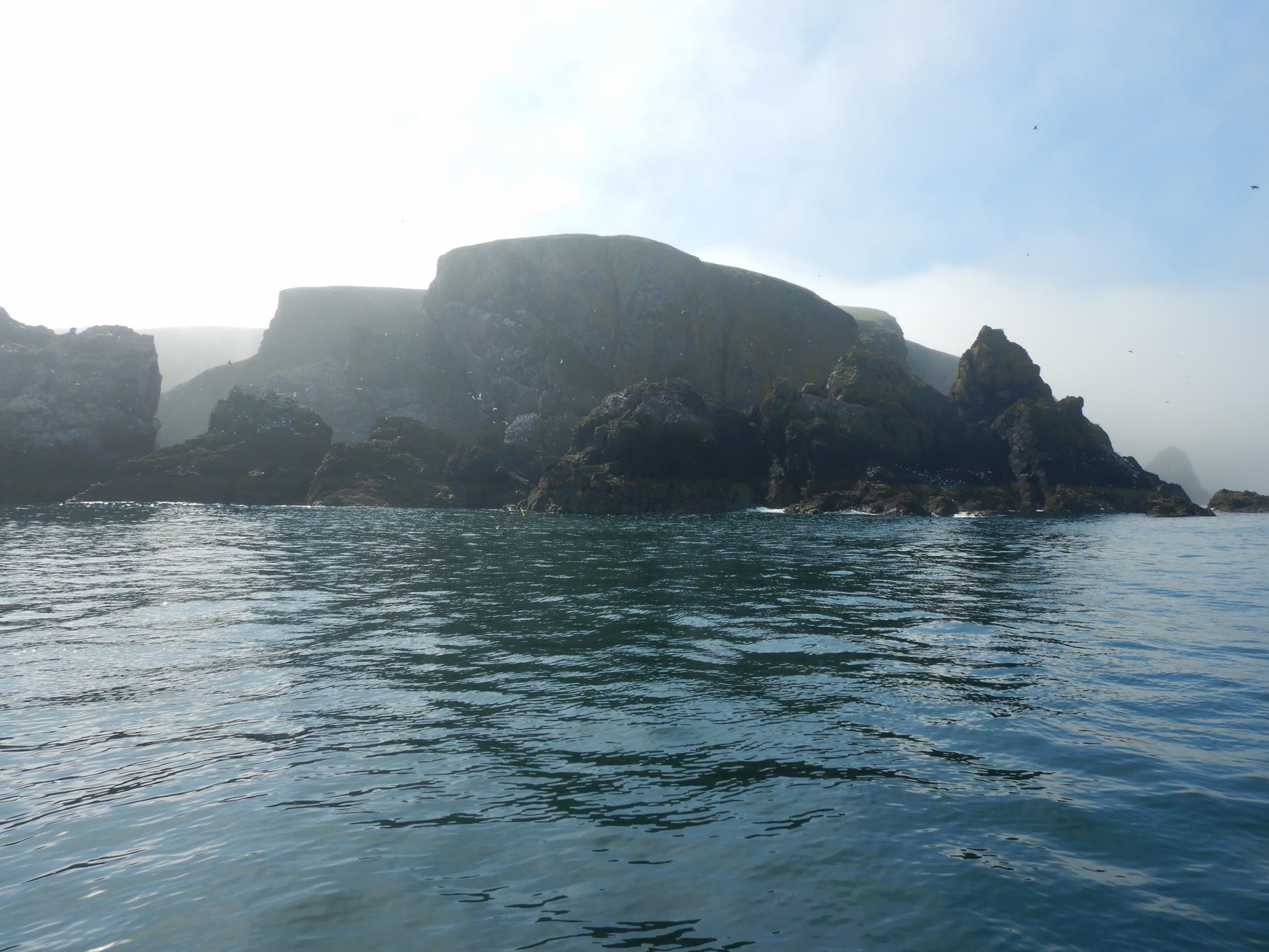 Cliffs in the fog