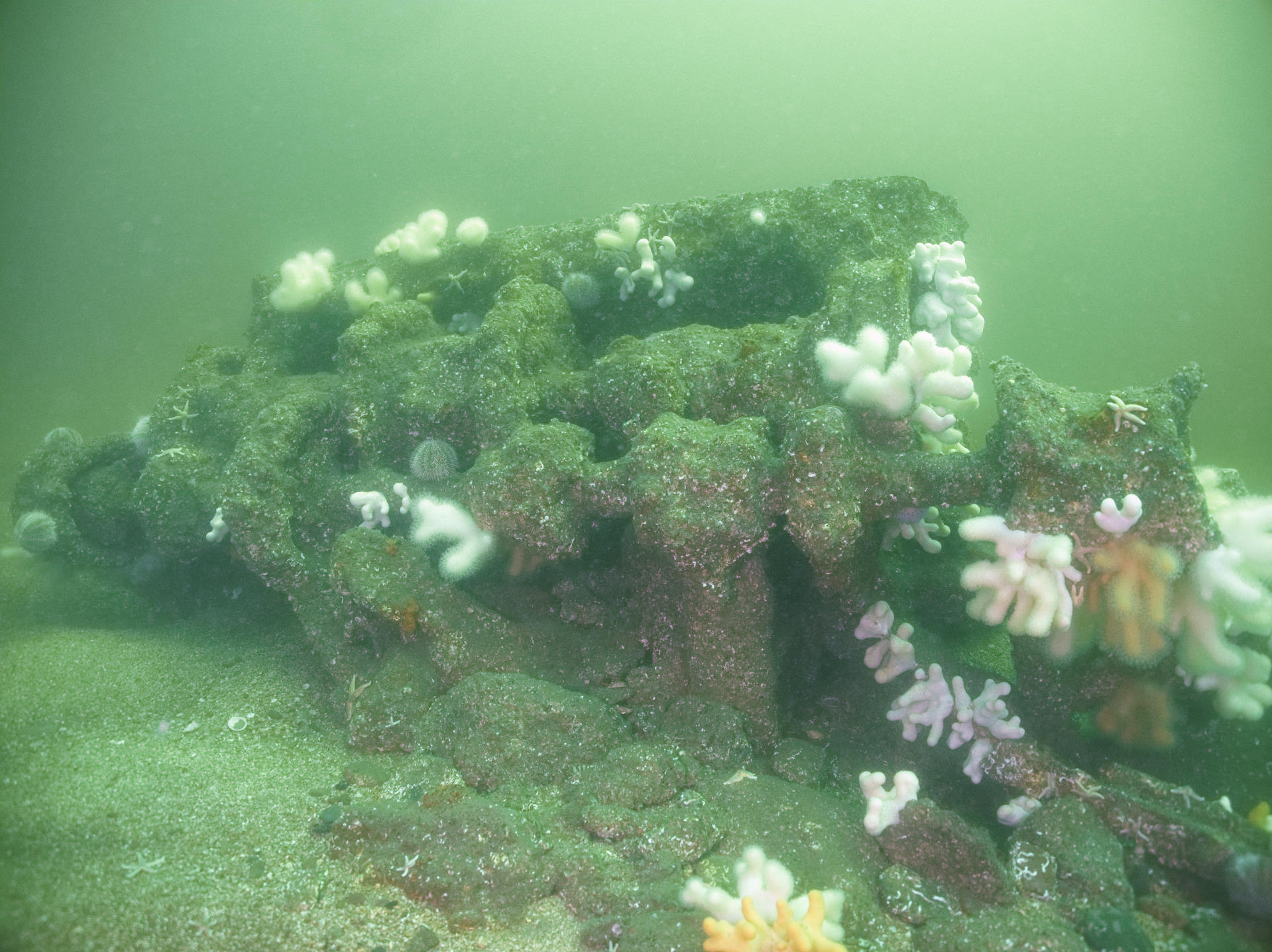 Engine block on the East Neuk