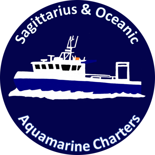 aquamarine-charters.com