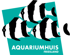 aquariumwinkel aquariumhuis Friesland