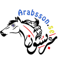 arabsson.se