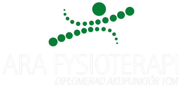 Ara Fysioterapi