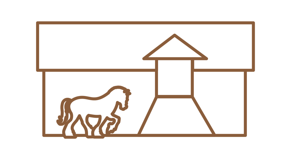 Besøksgård med hest