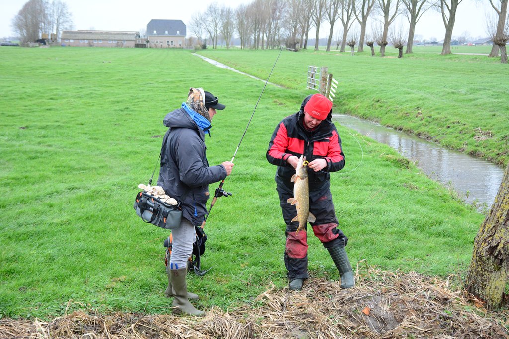 Een poldersnoek voor Frederik