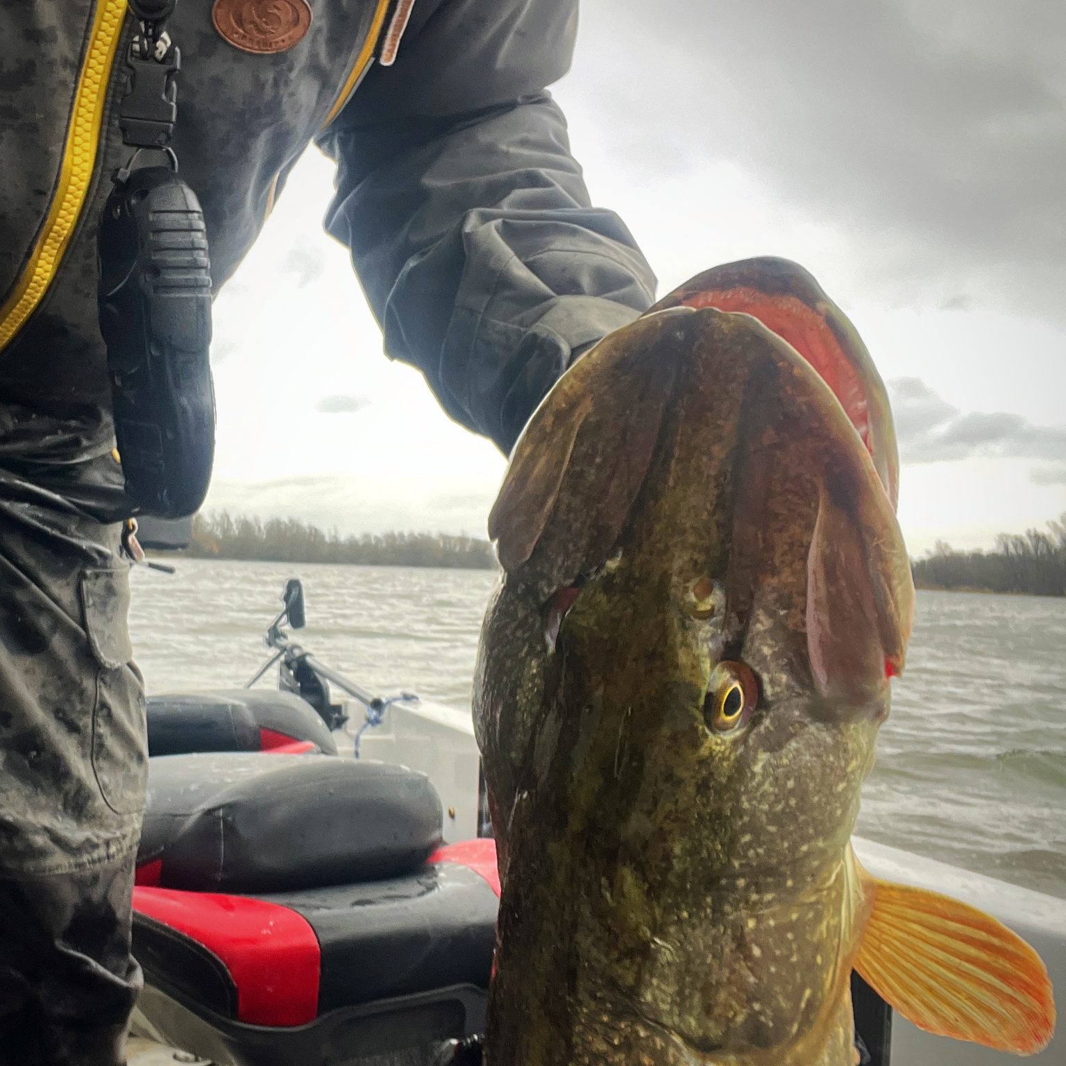 made For Fishing – designed to catch