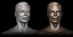 architecture-art.com_3D brad pitt sculptuur