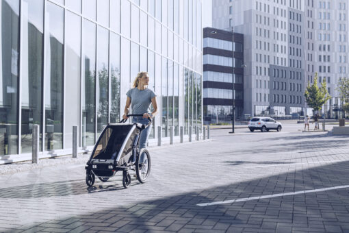 thule chariot lite agave 2021