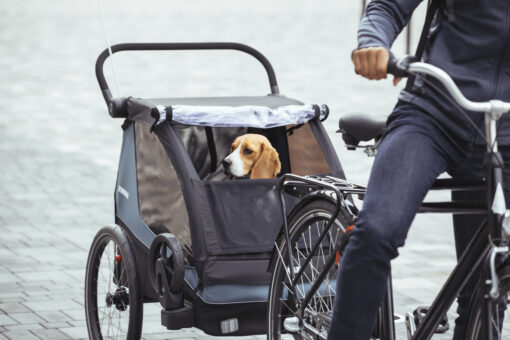 thule courier cykelvagn hund