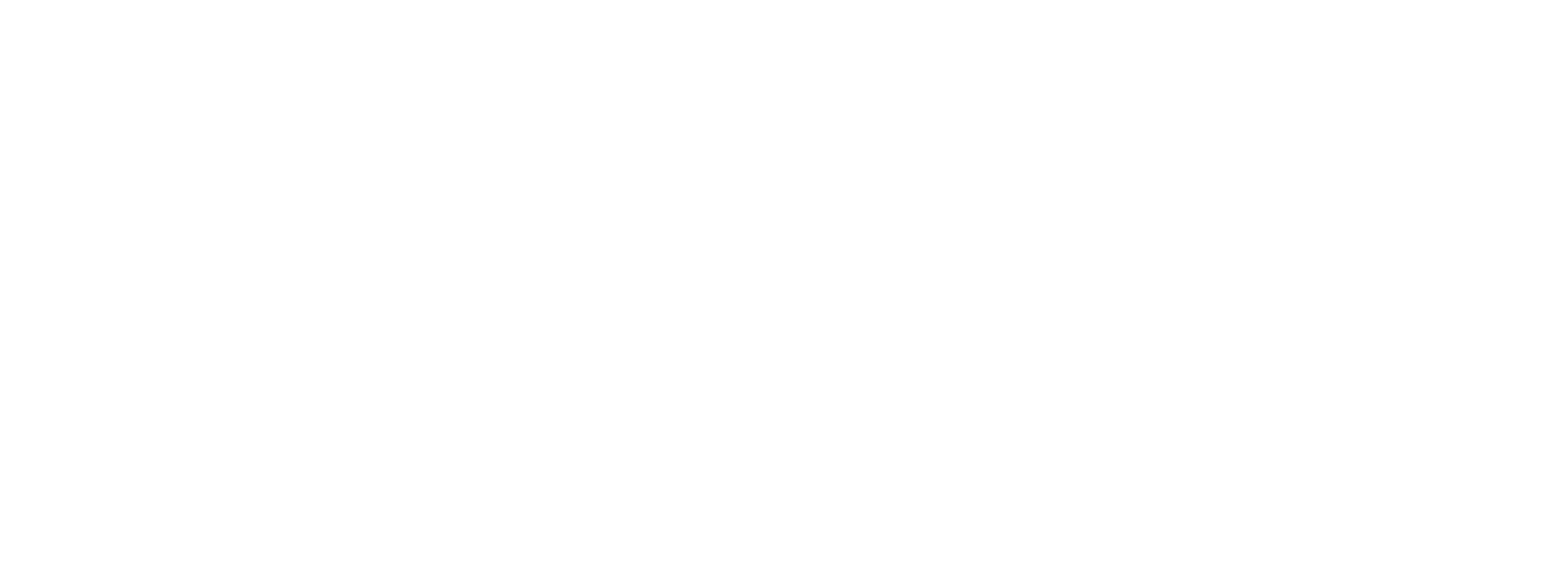 Arina Travel