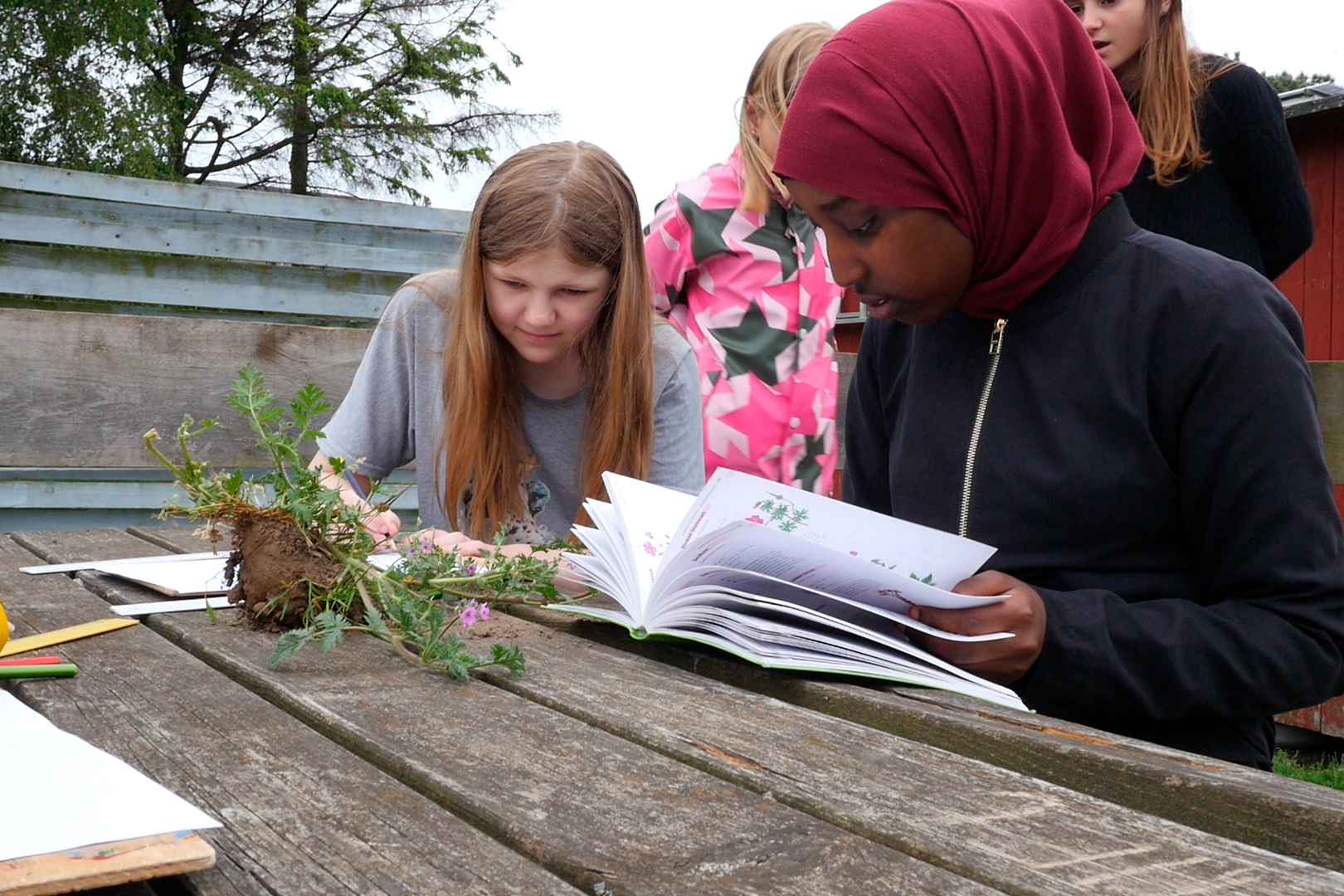 Elever fra Nørrebro Park Skole og Den Grønne Friskole hjælpes om at artsbestemme blomster. Fotograf: Julie Blicher Trojaborg