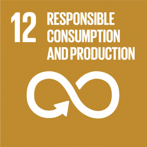 global goals responsible consumption and production FNs verdensmål ansvarligt forbrug og produktion