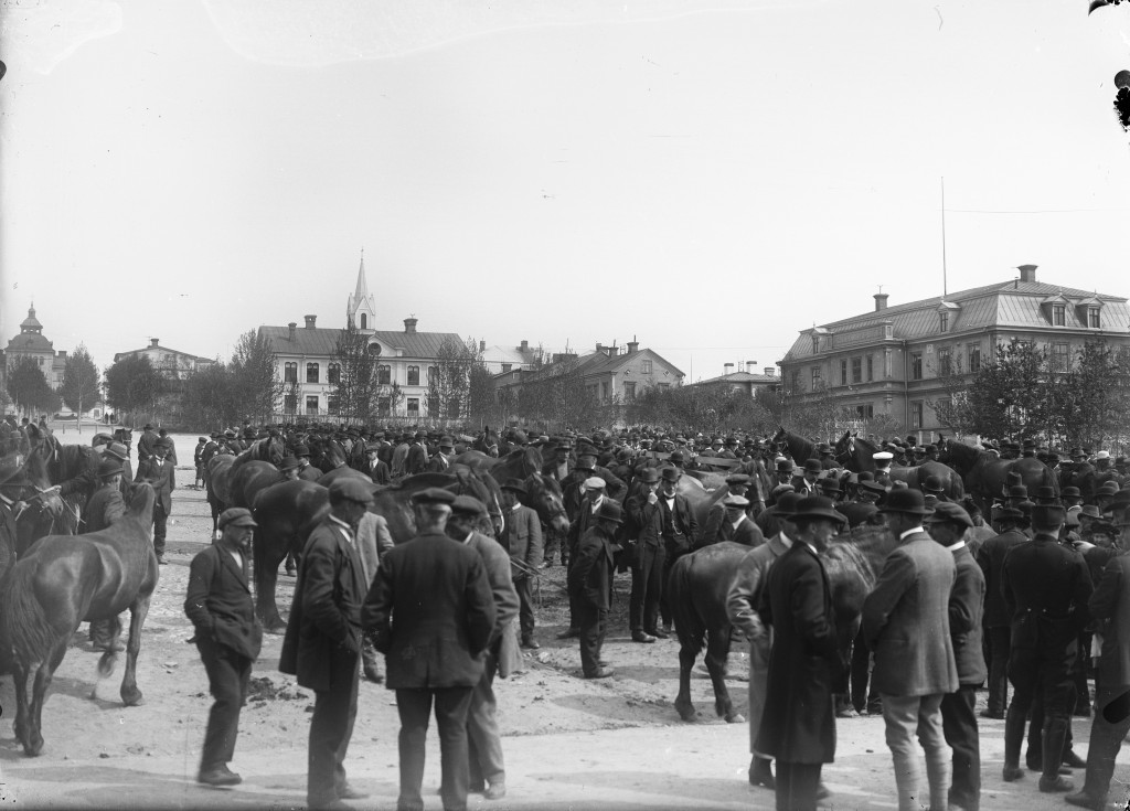 Kreaturshandel på Nytorget. Ibland kallades torget för "kotorget"