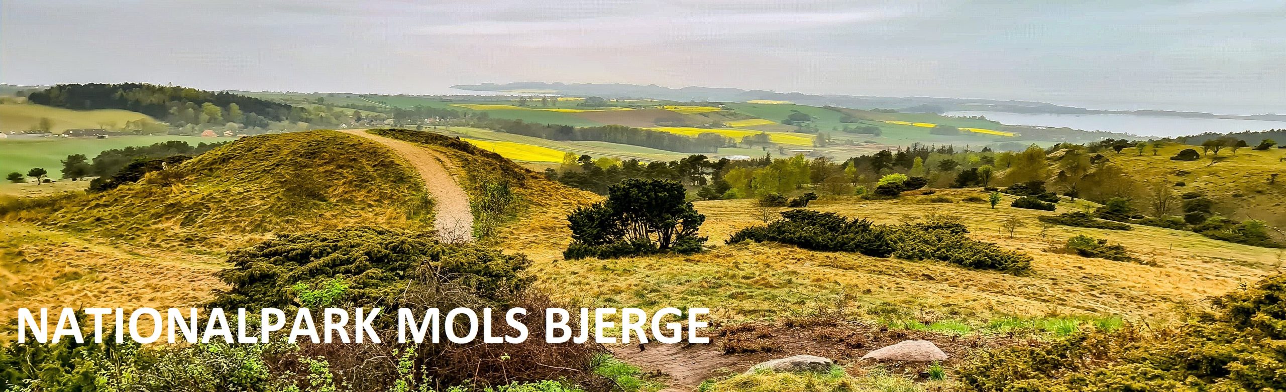 Nationalpark mols bjerge - vandreture med Aros Adventure