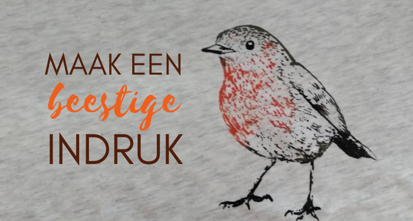 maak een beestige indruk roodborstje