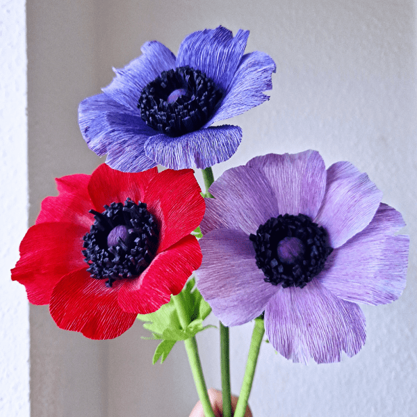 Franske anemoner i crepepapir. Opskrift på franske anemoner.