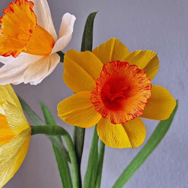 Påskeliljeopskrift begynder. Nem blomsteropskrift.