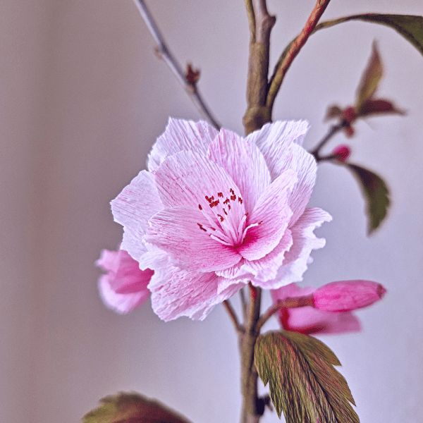 Kirsebærblomster i crepepapir opskrift.