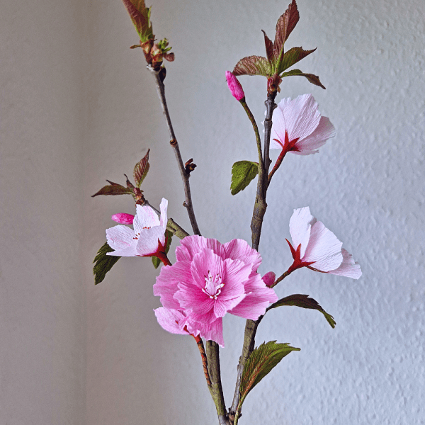 Kirsebærblomster gren i crepepapir skabelon