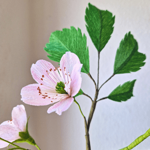 Vejledning i crepepapirblomster brombærgren.