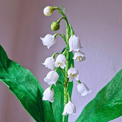 Liljekonval papirblomster kursus.