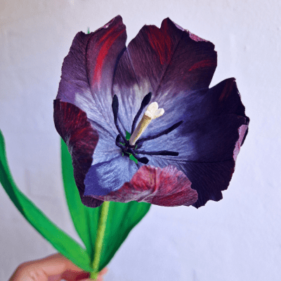 Tulipan i crepepapir til salg.