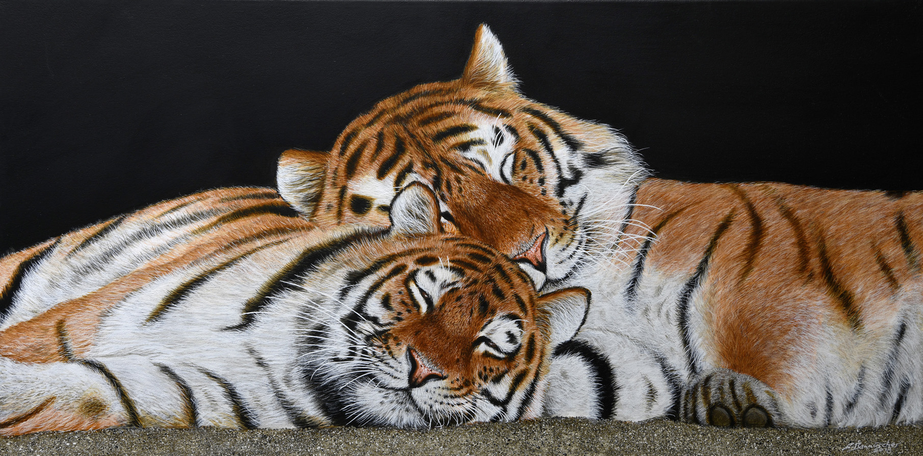 Tiger2