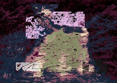 landscape 1