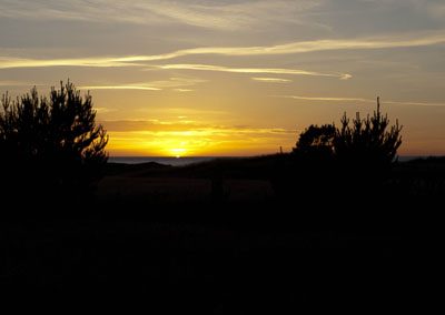 Sunset in Tversted Plantation at camp site