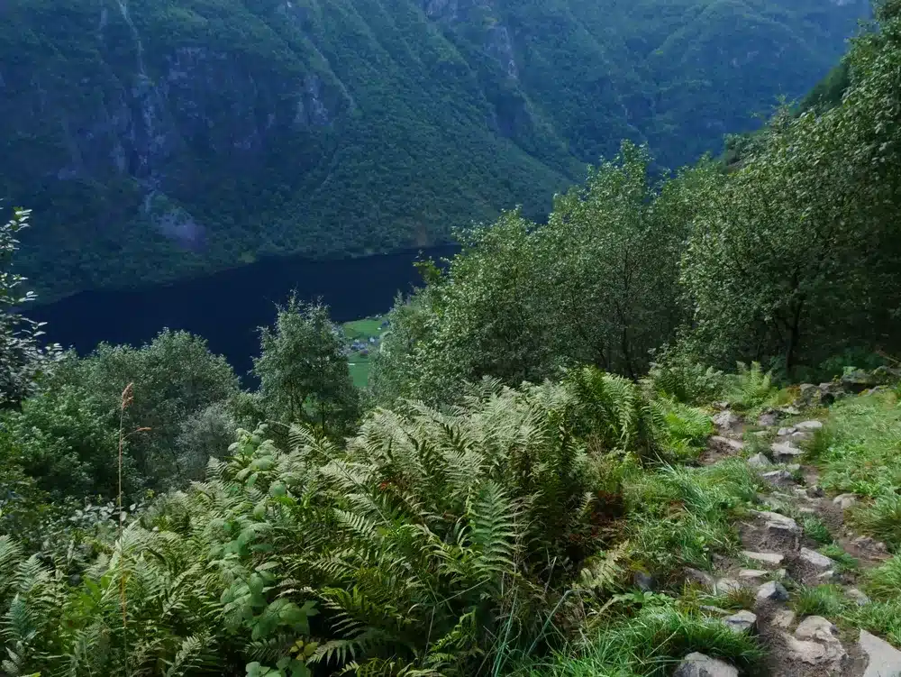 3 Exciting Hikes Around the Nærøyfjord