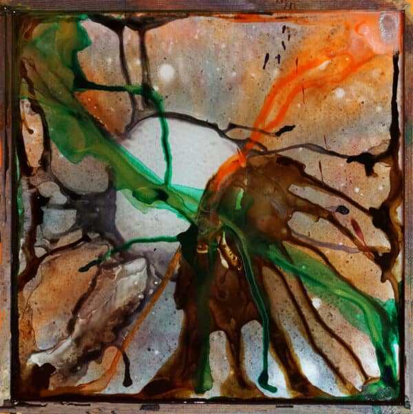 Grasshopper