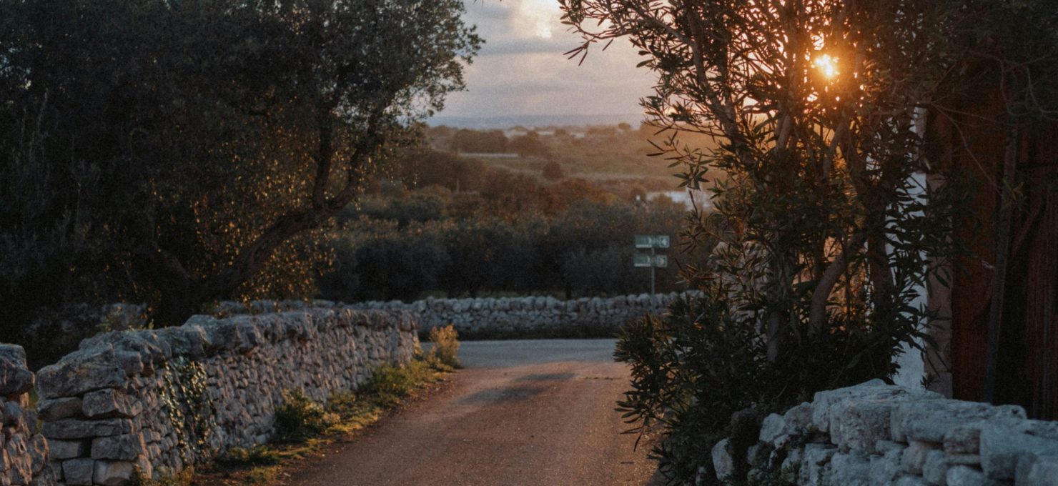 leandro-argentiero-wS1qmRGEbBU-unsplash