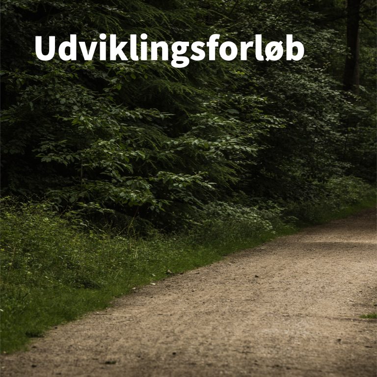 Udviklingsforløb.001