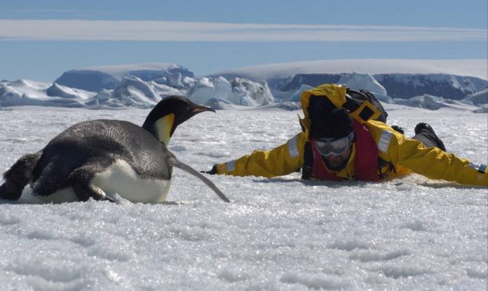 Fretwell lying on his stomach in front of a penguin on ice