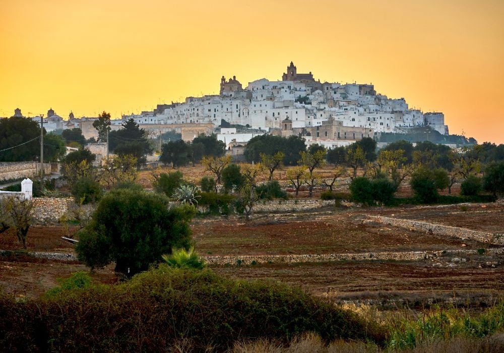 Cityscape of Ostuni white town skyline at sunset with olive trees in the foreground during a orange-glowing sunset.