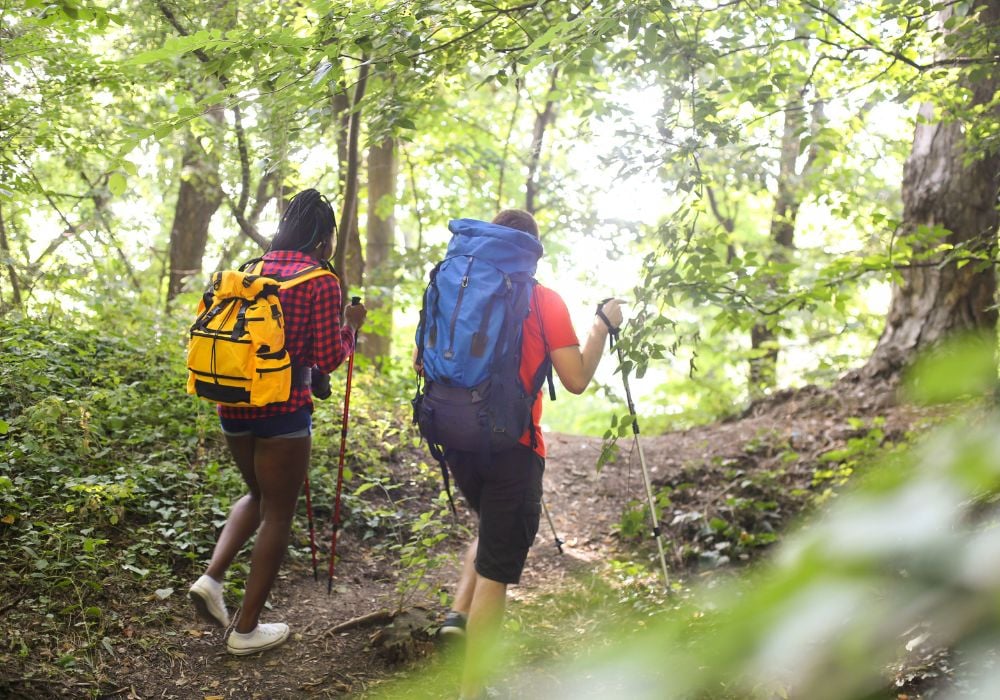 two people hiking in the swamp with trees