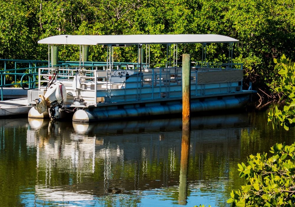 swamp pontoon boat on the water in new orleans