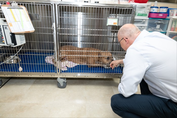 Poul Weihrauch meets a dog at a vet clinic