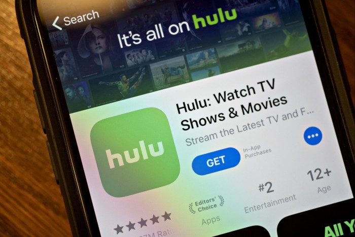 The Hulu app on an iPhone 