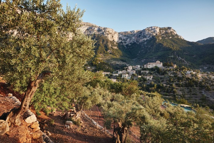 A view of a village in a valley with livestock in the foreground