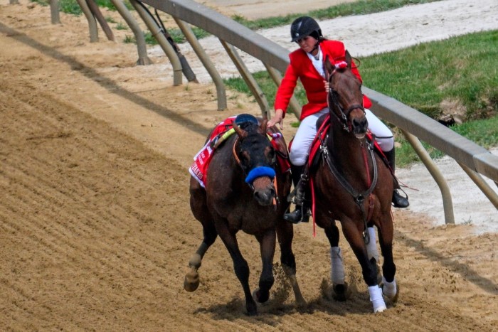 An outrider intercepts Havnameltdown after the horse lost its rider and suffered a leg injury