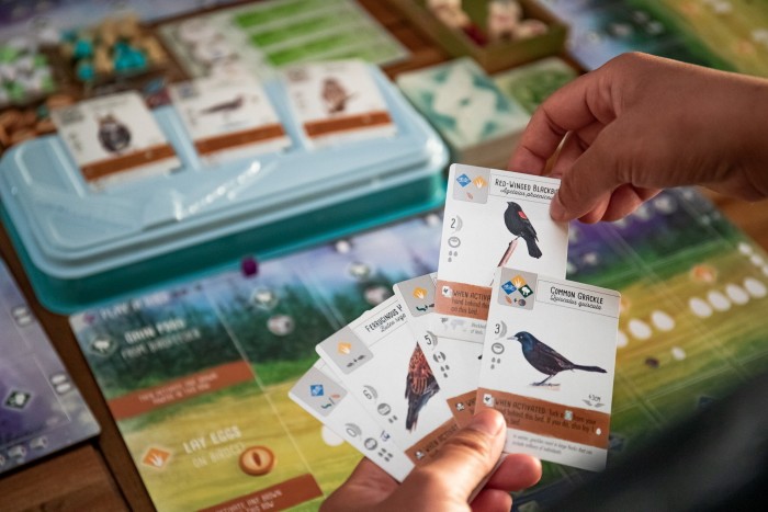 Cards with illustrations of birds in the game Wingspan