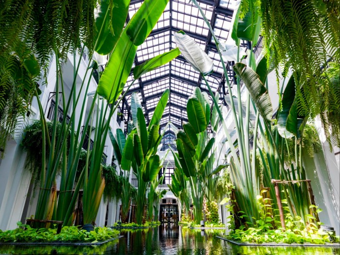 Huge plants growing from a pool in a glass-ceilinged space in Bangkok’s The Siam hotel