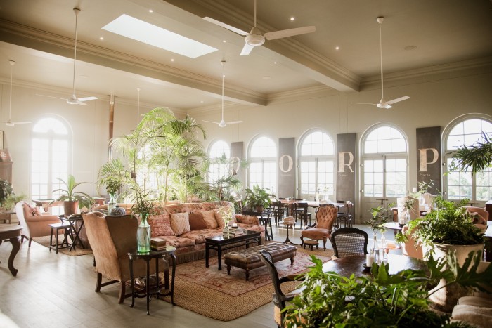 A lounge in Cape Town’s Dorp hotel, with large plants flanking pale brown velvet sofas and chairs