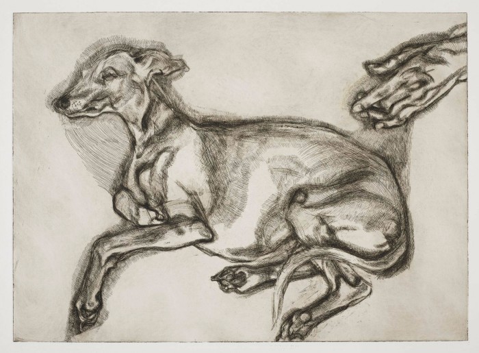 A trial proof of ‘Pluto Aged Twelve’, 2000, by Lucian Freud: an etching by the artist of a dog, with a human’s hand emerging from the right side of the image