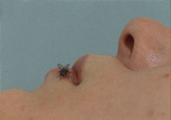 ‘FLY’, 1970–71, by Yoko Ono: a fly resting on the lips of the lower half of a woman’s face seen in profile