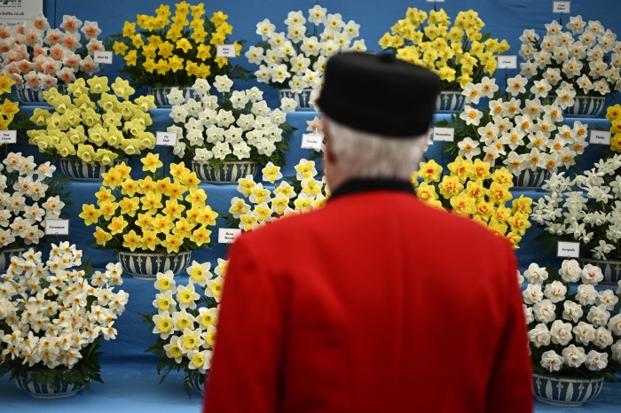 Chelsea Pensioner viewing a display of daffodils at last year’s RHS Chelsea Flower Show