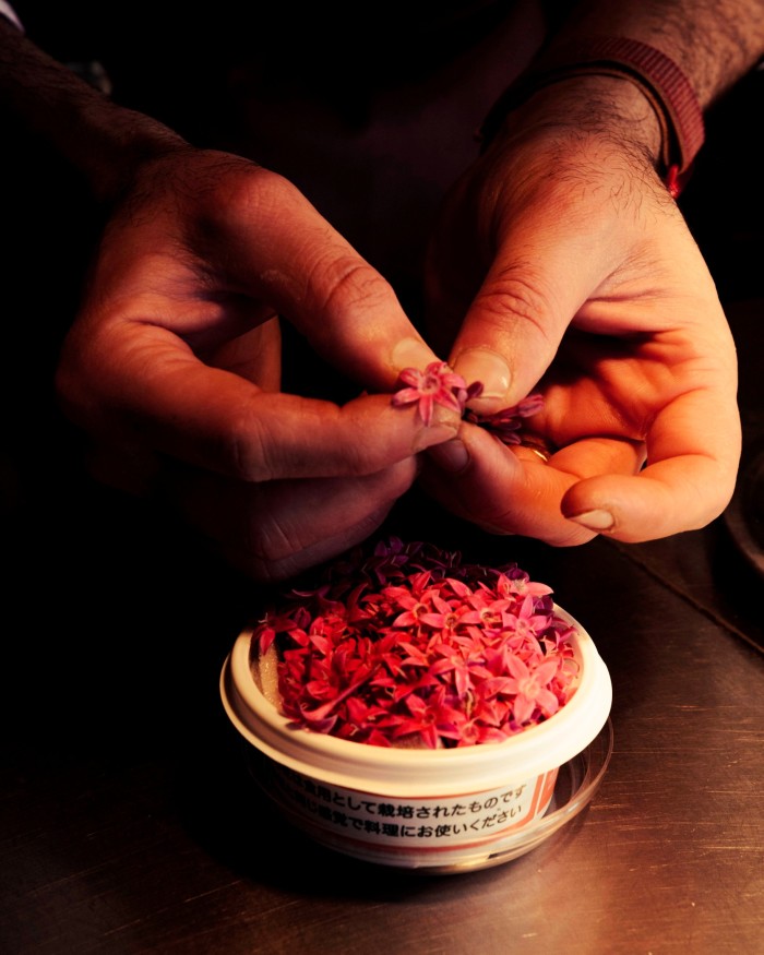 The hands of chef Tejas Sovani preparing edible flowers at Spice Lab Tokyo