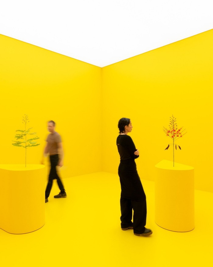 A male and female visitor at the Copenhagen Contemporary art gallery looking at Kapwani Kiwanga’s ‘The Marias’ artworks: two paper flowers on neon-yellow plinths set against neon-yellow floor and wall 